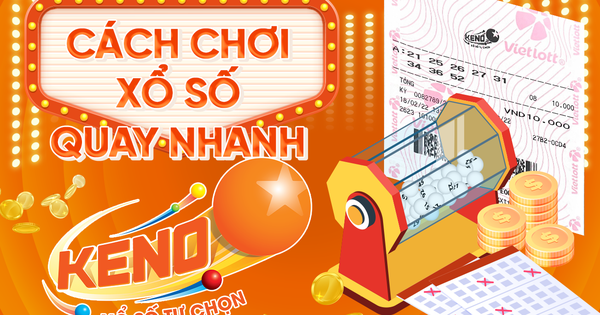 Hướng Dẫn tra chứng chỉ năng lực xây dựng Nhanh chóng và Chính xác cho Đơn vị Thi công