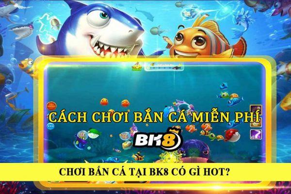 Tintucbongda Cập nhật tintucbongda mới nhất hôm nay dành cho người hâm mộ