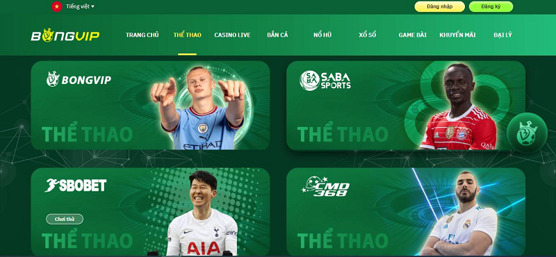 Khám phá sức hút của long hổ phá thiên môn trong thế giới giải trí long hổ