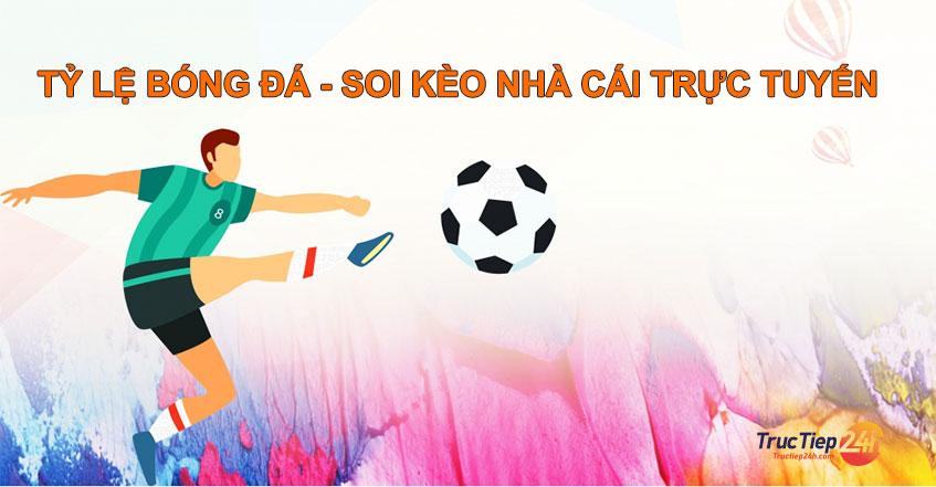 Trải nghiệm đá gà campuchia trực tiếp ngày hôm nay cùng những trận đấu đá gà campuchia hấp dẫn nhất